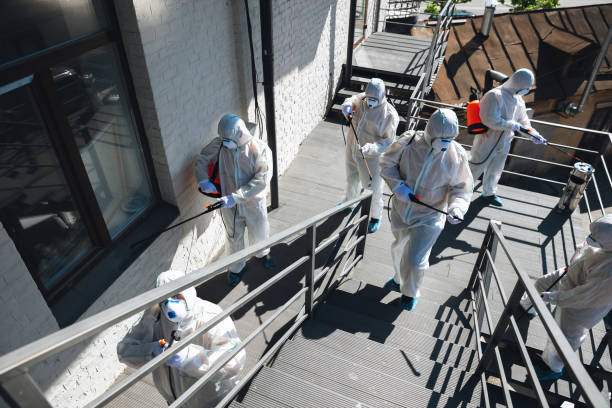 Circle Pines, MN Mold Removal Company
