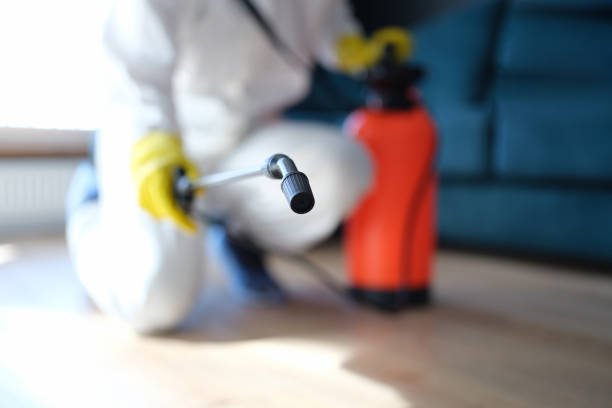 Best Asbestos and Lead Testing During Mold Inspection  in Circle Pines, MN